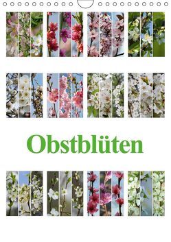 Obstblüten (Wandkalender 2019 DIN A4 hoch) von Gierok,  Steffen