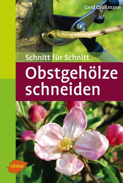 Obstgehölze schneiden von Großmann,  Gerd