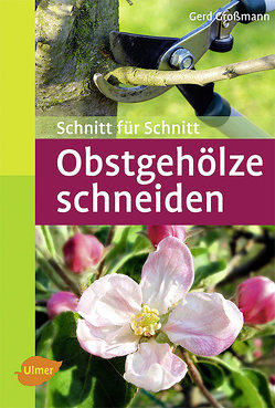 Obstgehölze schneiden von Großmann,  Gerd