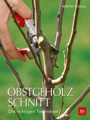 Obstgehölzschnitt von Stangl,  Martin