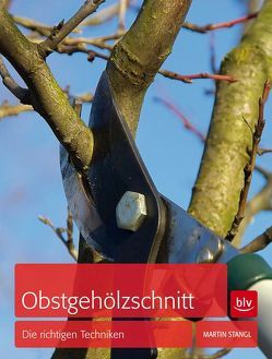 Obstgehölzschnitt von Stangl,  Martin