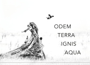 Odem Terra Ignis Aqua von Troppko,  Herwig K.