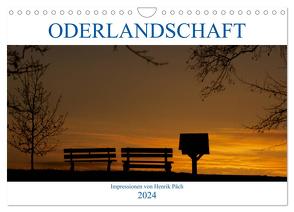 Oderlandschaft (Wandkalender 2024 DIN A4 quer), CALVENDO Monatskalender von Päch,  Henrik