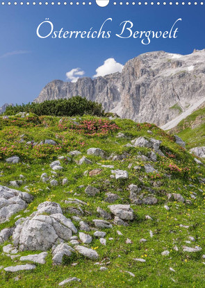 Österreichs Bergwelt (Wandkalender 2022 DIN A3 hoch) von Aigner,  Susanne, Brandstätter,  Hannes