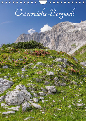 Österreichs Bergwelt (Wandkalender 2022 DIN A4 hoch) von Aigner,  Susanne, Brandstätter,  Hannes