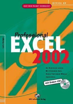 Office XP: Excel 2002 Professional von Hunger,  Lutz