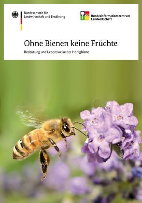 Ohne Bienen keine Früchte von Boecking,  Otto, von der Ohe,  Werner