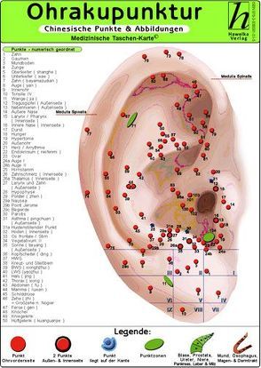 Ohrakupunktur – chinesische Punkte & Abbildungen / Medizinische Taschen-Karte von Hawelka Verlag,  Hawelka