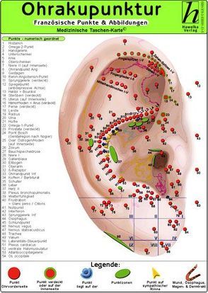 Ohrakupunktur – französische Punkte & Abbildungen / Medizinische Taschen-Karte von Hawelka Verlag,  Hawelka