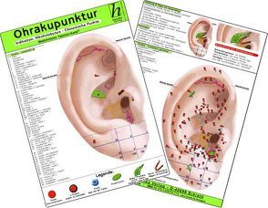 Ohrakupunktur – Indikation: Alkoholabusus- chinesische Ohrakupunktur / Medizinische Taschen-Karte von Hawelka Verlag,  Hawelka