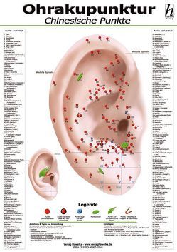 Ohrakupunktur Mini-Poster – chinesische Punkte DIN A4 von Hawelka Verlag,  Hawelka