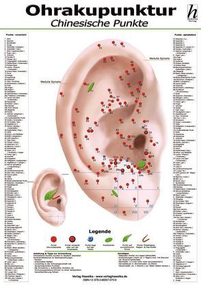 Ohrakupunktur Mini-Poster – chinesische Punkte DIN A4 von Hawelka Verlag,  Hawelka