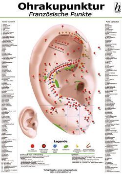 Ohrakupunktur Mini-Poster – französische Punkte DIN A4 von Hawelka Verlag,  Hawelka