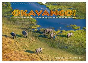 Okavango! Atemberaubende Naturschönheit im größten Binnendelta der Welt (Wandkalender 2024 DIN A3 quer), CALVENDO Monatskalender von Guni,  Günter