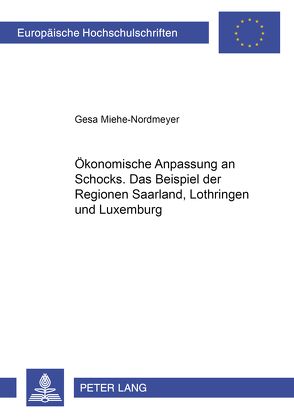 Ökonomische Anpassung an Schocks von Miehe-Nordmeyer,  Gesa