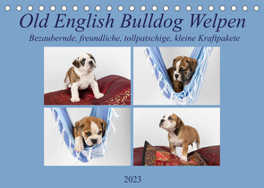 Old English Bulldog Welpen (Tischkalender 2023 DIN A5 quer) von Verena Scholze,  Fotodesign