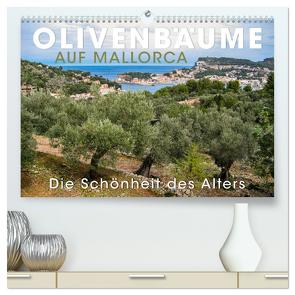 Olivenbäume auf Mallorca – Die Schönheit des Alters (hochwertiger Premium Wandkalender 2024 DIN A2 quer), Kunstdruck in Hochglanz von Oelschläger,  Wilfried