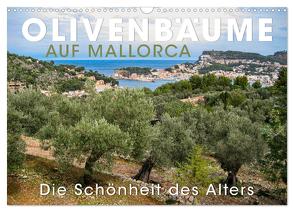 Olivenbäume auf Mallorca – Die Schönheit des Alters (Wandkalender 2024 DIN A3 quer), CALVENDO Monatskalender von Oelschläger,  Wilfried