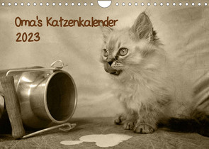 Oma’s Katzenkalender 2023 (Wandkalender 2023 DIN A4 quer) von Säume,  Sylvia