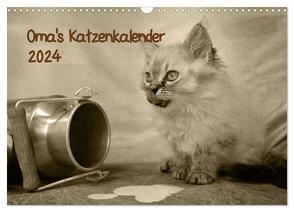 Oma’s Katzenkalender 2024 (Wandkalender 2024 DIN A3 quer), CALVENDO Monatskalender von Säume,  Sylvia