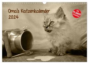 Oma’s Katzenkalender 2024 (Wandkalender 2024 DIN A3 quer), CALVENDO Monatskalender von Säume,  Sylvia