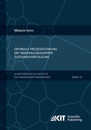 Optimale Prozessführung mit merkmalsbasierter Zustandsverfolgung von Senn,  Melanie