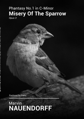 Opus 3: The Bird Phantasies / Phantasy Op.3 No.1 „Misery Of The Sparrow“ in C-Minor von Nauendorff,  Marvin