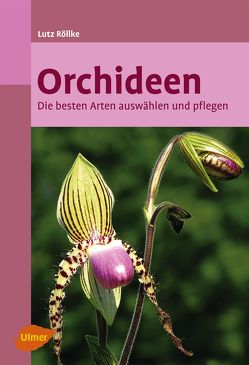 Orchideen von Röllke,  Lutz