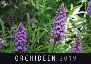 Orchideen 2019 von Quelle & Meyer Verlag