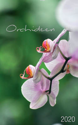 Orchideen 2020 von Weisschuh,  Silke