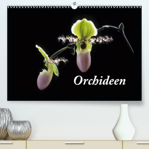 Orchideen 2021 (Premium, hochwertiger DIN A2 Wandkalender 2021, Kunstdruck in Hochglanz) von kleber©gagelart