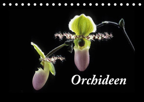 Orchideen 2022 (Tischkalender 2022 DIN A5 quer) von kleber©gagelart