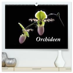 Orchideen 2024 (hochwertiger Premium Wandkalender 2024 DIN A2 quer), Kunstdruck in Hochglanz von kleber©gagelart,  kleber©gagelart