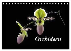 Orchideen 2024 (Tischkalender 2024 DIN A5 quer), CALVENDO Monatskalender von kleber©gagelart,  kleber©gagelart