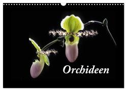 Orchideen 2024 (Wandkalender 2024 DIN A3 quer), CALVENDO Monatskalender von kleber©gagelart,  kleber©gagelart