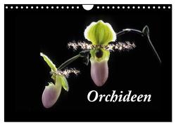 Orchideen 2024 (Wandkalender 2024 DIN A4 quer), CALVENDO Monatskalender von kleber©gagelart,  kleber©gagelart