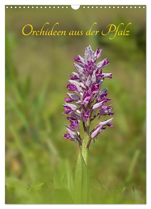 Orchideen aus der Pfalz (Wandkalender 2024 DIN A3 hoch), CALVENDO Monatskalender von juehust,  juehust