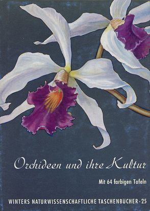 Orchideen der Tropen und Subtropen von Matho,  K