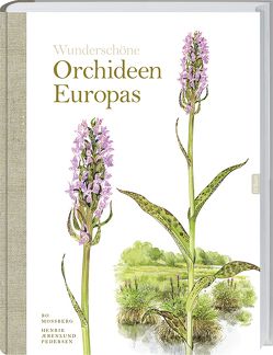 Wunderschöne Orchideen Europas von Mossberg,  Bo, Pedersen,  Henrik