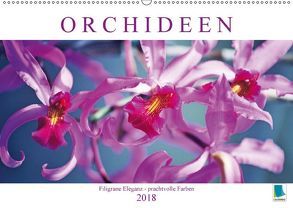 Orchideen: Filigrane Eleganz – prachtvolle Farben (Wandkalender 2018 DIN A2 quer) von CALVENDO