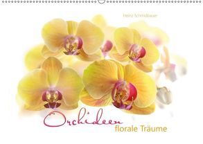 Orchideen florale Träume (Wandkalender 2019 DIN A2 quer) von Schmidbauer,  Heinz