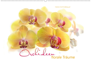 Orchideen florale Träume (Wandkalender 2021 DIN A2 quer) von Schmidbauer,  Heinz