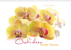 Orchideen florale Träume (Wandkalender 2021 DIN A3 quer) von Schmidbauer,  Heinz