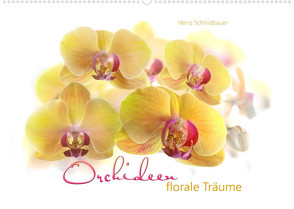 Orchideen florale Träume (Wandkalender 2022 DIN A2 quer) von Schmidbauer,  Heinz