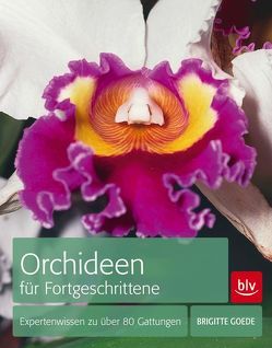 Orchideen für Fortgeschrittene von Goede,  Brigitte