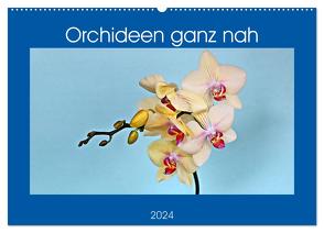 Orchideen ganz nah (Wandkalender 2024 DIN A2 quer), CALVENDO Monatskalender von Geiger,  Günther