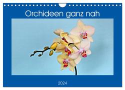 Orchideen ganz nah (Wandkalender 2024 DIN A4 quer), CALVENDO Monatskalender von Geiger,  Günther