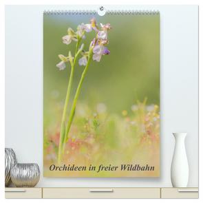 Orchideen in freier Wildbahn (hochwertiger Premium Wandkalender 2024 DIN A2 hoch), Kunstdruck in Hochglanz von Danis,  Peter
