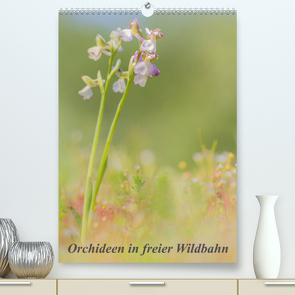 Orchideen in freier Wildbahn (Premium, hochwertiger DIN A2 Wandkalender 2023, Kunstdruck in Hochglanz) von Danis,  Peter