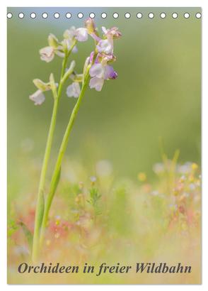 Orchideen in freier Wildbahn (Tischkalender 2024 DIN A5 hoch), CALVENDO Monatskalender von Danis,  Peter